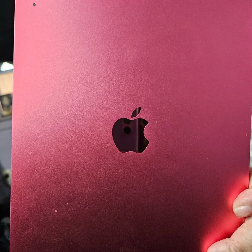 iPad pink generation 10